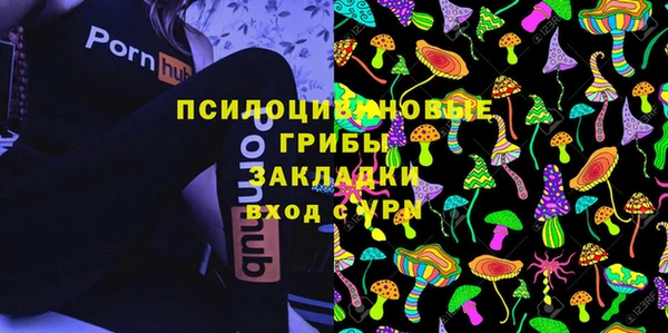 индика Бородино
