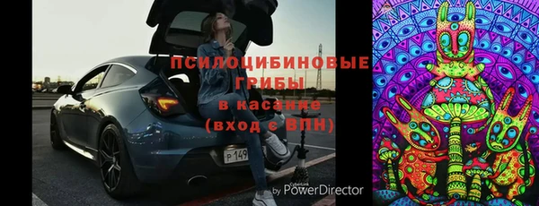 стаф Нея
