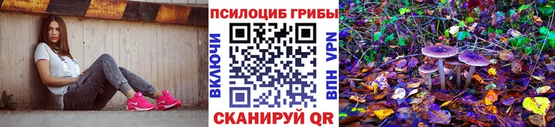 Галлюциногенные грибы Magic Shrooms  Злынка 
