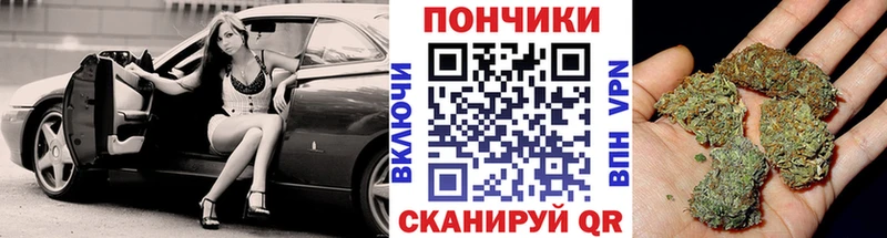Каннабис конопля Злынка